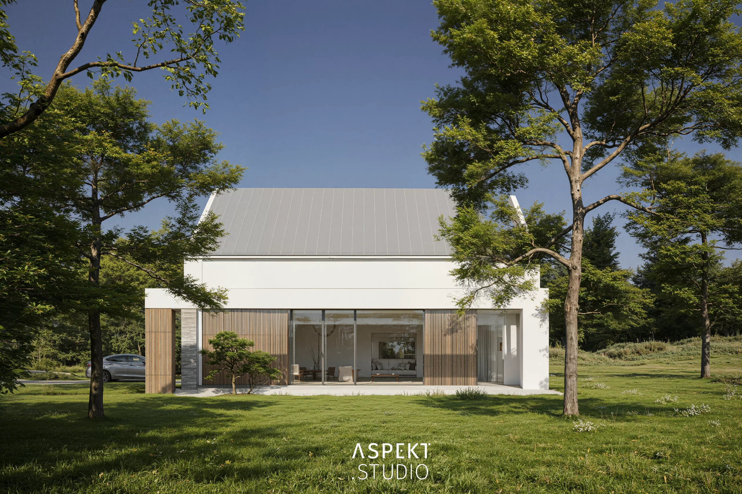 A25_01/Dom jednorodzinny/Strzelinko